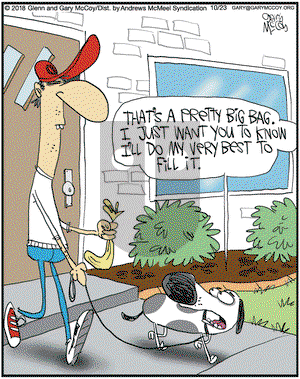 The Flying McCoys on Tuesday October 23, 2018 Comic Strip