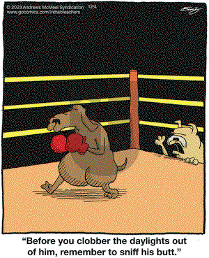 In the Bleachers - Monday December 4, 2023 Comic Strip