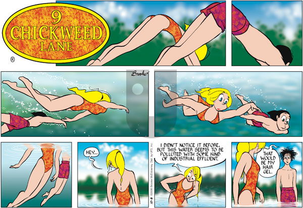 9 Chickweed Lane on Sunday October 8, 2006 Comic Strip