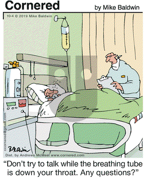 Cornered on Friday October 4, 2019 Comic Strip