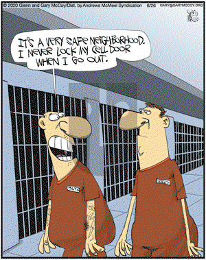 The Flying McCoys on Friday June 26, 2020 Comic Strip
