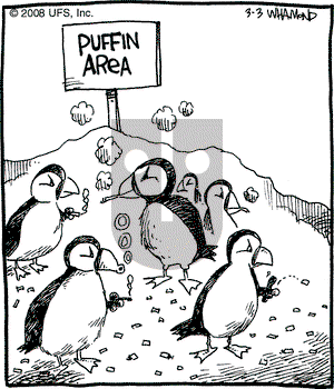 Reality Check on Monday March 3, 2008 Comic Strip