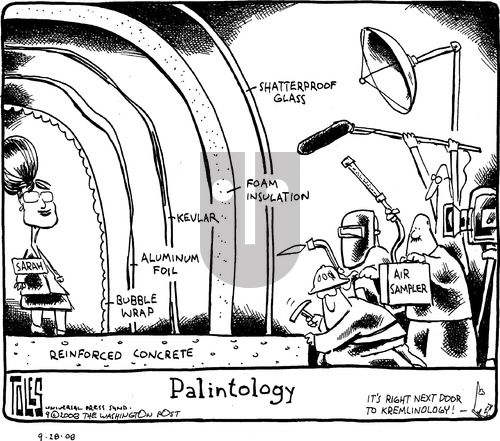 Tom Toles on Wednesday November 19, 2008 Comic Strip