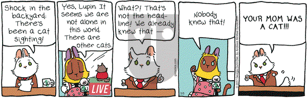 Breaking Cat News on Friday May 5, 2017 Comic Strip