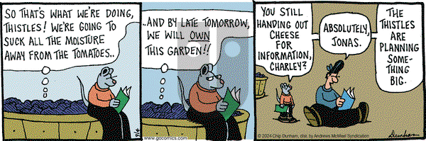 Overboard - Wednesday September 4, 2024 Comic Strip