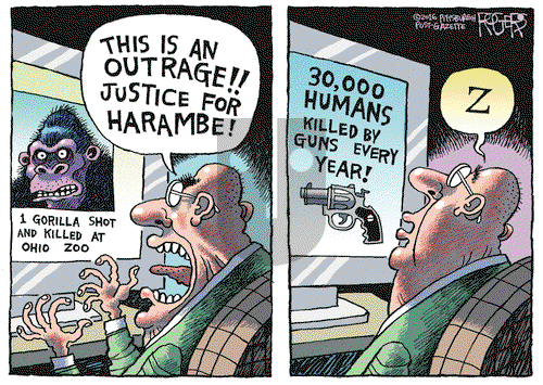 Rob Rogers on Thursday June 2, 2016 Comic Strip