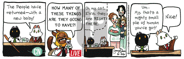 Breaking Cat News on Tuesday June 26, 2018 Comic Strip