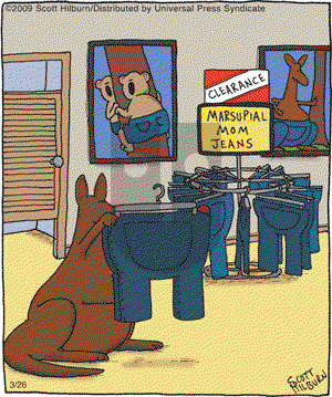 The Argyle Sweater on Thursday March 26, 2009 Comic Strip