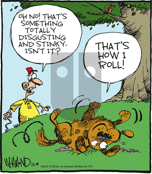 Reality Check on Friday November 9, 2018 Comic Strip