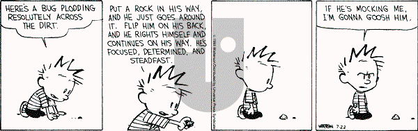Calvin and Hobbes - Thursday July 22, 1993 Comic Strip
