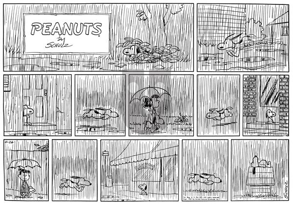 Peanuts on Sunday November 26, 1961 Comic Strip