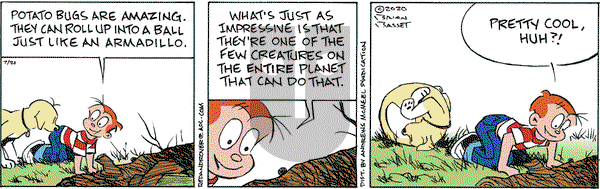 Red and Rover on Tuesday July 21, 2020 Comic Strip