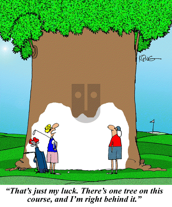 Jerry King Comics - Friday December 1, 2023 Comic Strip
