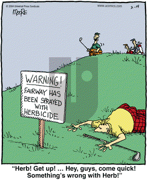 In the Bleachers on Thursday February 19, 2004 Comic Strip