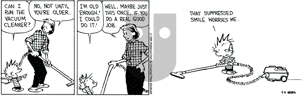 Calvin and Hobbes - Saturday May 6, 1995 Comic Strip