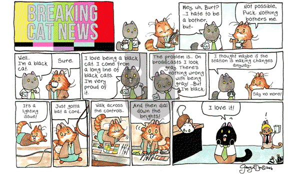 Breaking Cat News on Monday November 28, 2016 Comic Strip