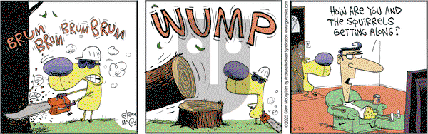 The Duplex on Tuesday May 20, 2025 Comic Strip