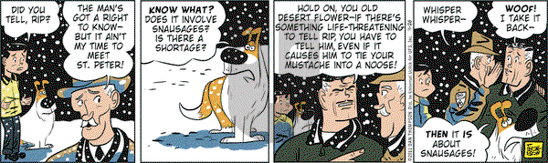 Rip Haywire on Saturday November 26, 2011 Comic Strip