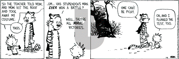 Calvin and Hobbes - Saturday March 6, 1993 Comic Strip