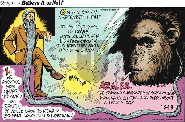 Ripley's Believe It or Not on Sunday December 18, 2016 Comic Strip