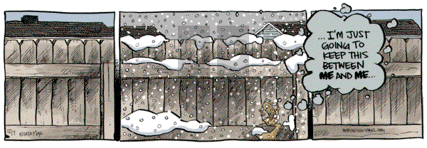 Bob the Squirrel - Thursday December 7, 2023 Comic Strip