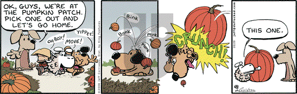 DeFlocked on Monday October 20, 2008 Comic Strip
