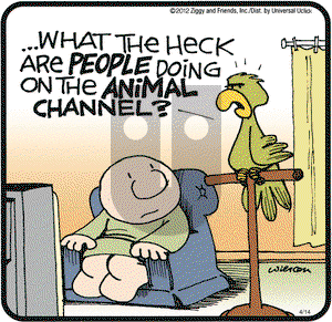 Ziggy on Saturday April 14, 2012 Comic Strip