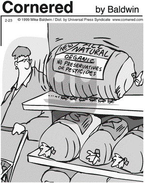 Cornered on Tuesday February 23, 1999 Comic Strip