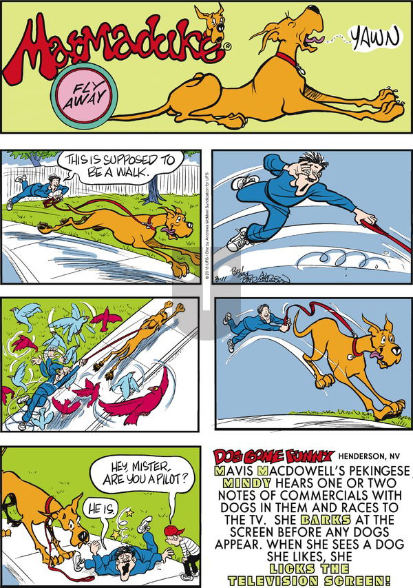 Marmaduke on Sunday March 11, 2018 Comic Strip