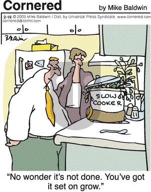 Cornered - Saturday February 19, 2005 Comic Strip