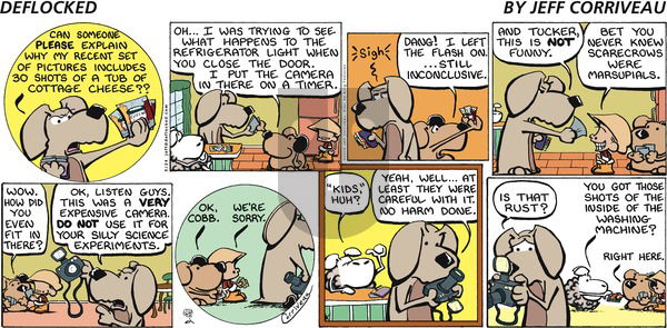 DeFlocked on Sunday May 24, 2009 Comic Strip