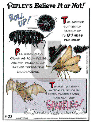 Ripley's Believe It or Not on Tuesday April 22, 2025 Comic Strip