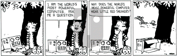Calvin and Hobbes on Tuesday July 6, 1993 Comic Strip