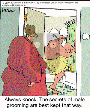 Cornered on Friday December 28, 2012 Comic Strip