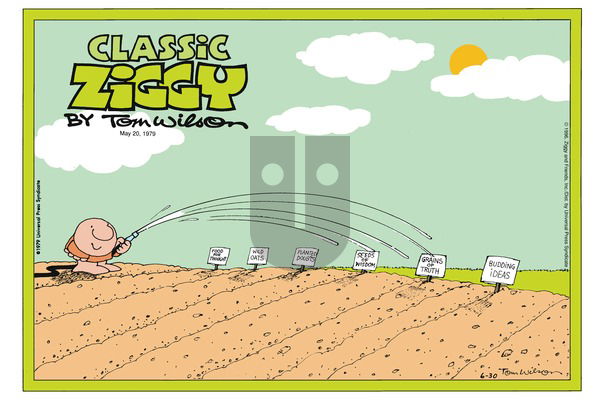 Ziggy on Sunday June 30, 1996 Comic Strip