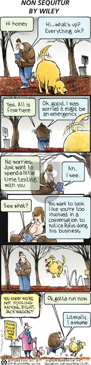 Non Sequitur on Sunday December 7, 2014 Comic Strip