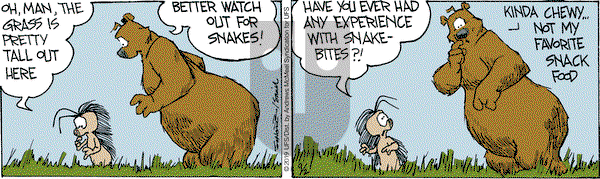 The Grizzwells on Monday September 2, 2019 Comic Strip