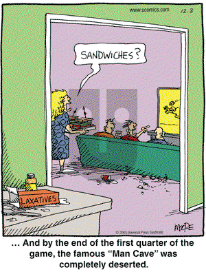 In the Bleachers on Saturday December 3, 2005 Comic Strip