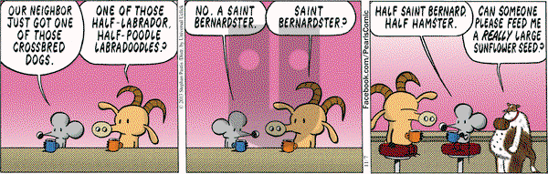 Pearls Before Swine on Thursday November 7, 2013 Comic Strip