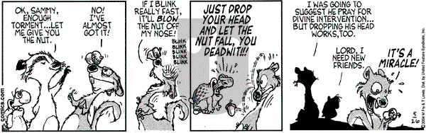 Over the Hedge on Wednesday May 26, 2004 Comic Strip