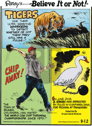 Ripley's Believe It or Not on Thursday September 12, 2013 Comic Strip