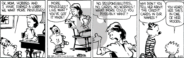 Calvin and Hobbes - Friday August 23, 1991 Comic Strip