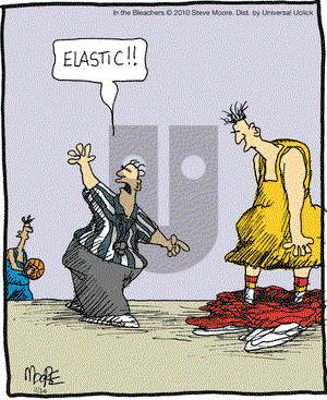 In the Bleachers on Saturday November 20, 2010 Comic Strip