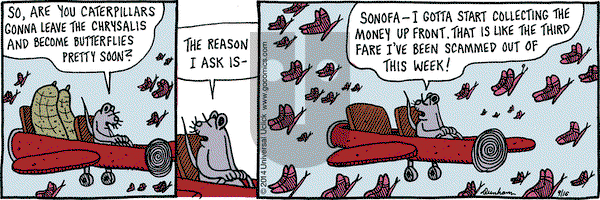 Overboard on Tuesday September 16, 2014 Comic Strip