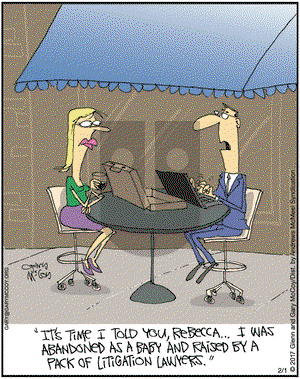 The Flying McCoys on Wednesday February 1, 2017 Comic Strip