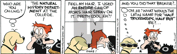 Red and Rover - Friday June 4, 2010 Comic Strip