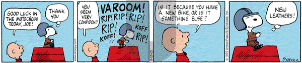 Peanuts - Wednesday August 15, 2001 Comic Strip