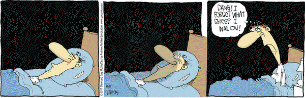 The Duplex on Thursday June 8, 2017 Comic Strip