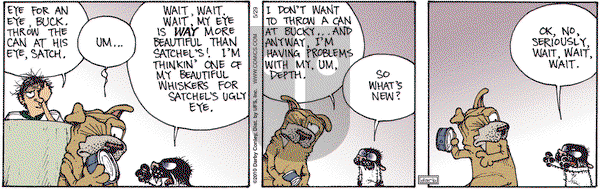 Get Fuzzy on Saturday May 29, 2010 Comic Strip