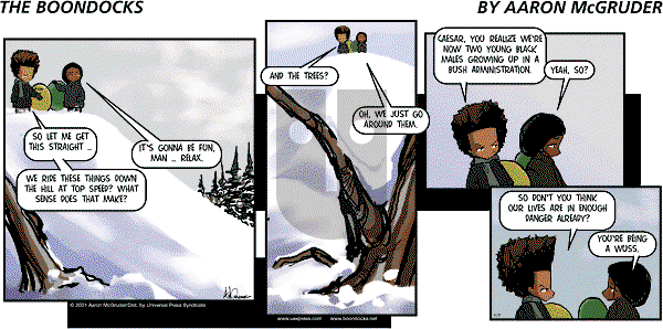 The Boondocks on Sunday August 10, 2008 Comic Strip